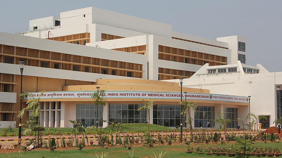 Medical Care